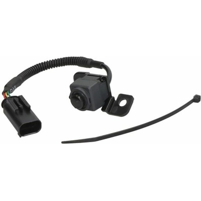 BLIC 6006-00-0042P