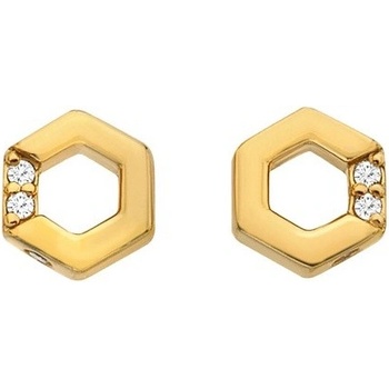 Hot Diamonds náušnice DE756