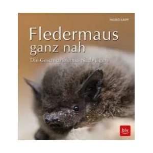 Fledermaus ganz nah | Ingrid Kaipf (ISBN: 9783835419032)