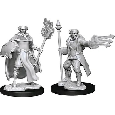 Dungeons & Dragons Nolzur s Marvelous Miniatures Multiclass Cleric & Wizard Male