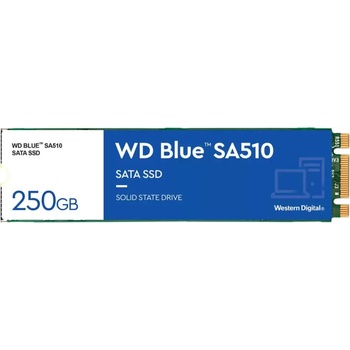 Western Digital Blue SA510 250GB M.2 (WDS250G3B0B)
