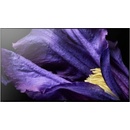 Sony Bravia KD-65AF9