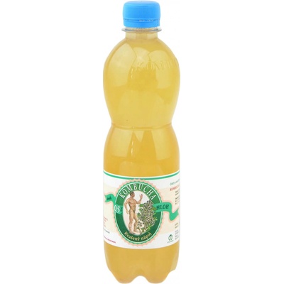 Stevikon kombucha hloh 0,5 l