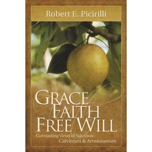 Grace, Faith, Free Will | Robert E. Picirilli (ISBN: 9780892656486)