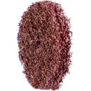 Pferd Brusný kotouč 50 x 8 x 6 mm K100 4007220955796