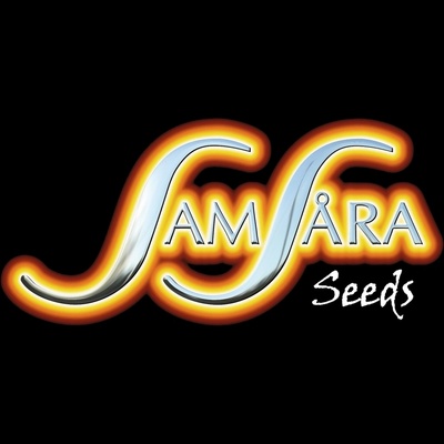 Samsara El Alquimista semena neobsahují THC 3 ks