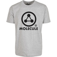 Molecule Large Logo šedé
