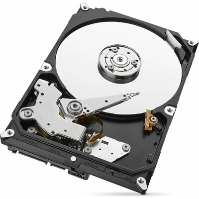 Seagate SkyHawk 1TB, ST1000VX005