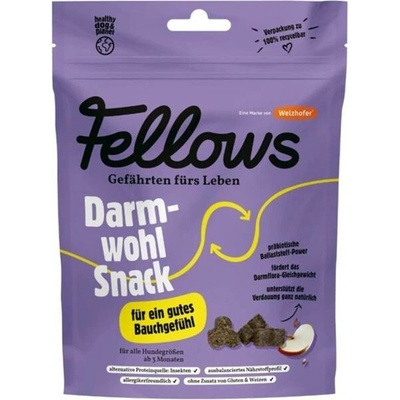 Fellows Darmwohl hmyzí pamlsky na dobré trávení 125 g