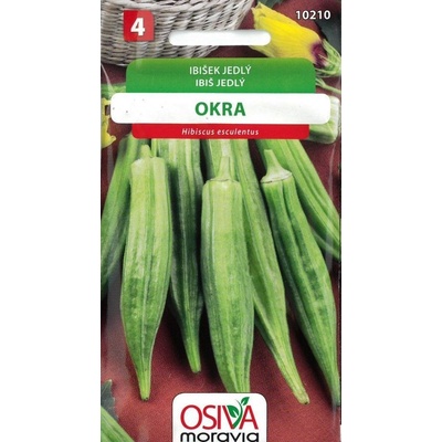 Ibišek jedlý OKRA