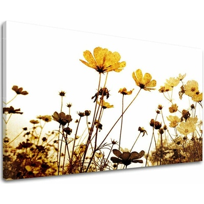 Obraz na stenu KVETY - 20x30
