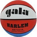 Gala Harlem