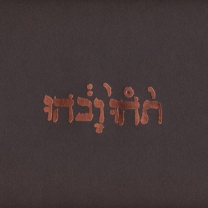 Godspeed You! Black Emperor - Slow Riot For New Zero Kanada E. P. (Reissue) (180 g) (EP) (0666561000615)