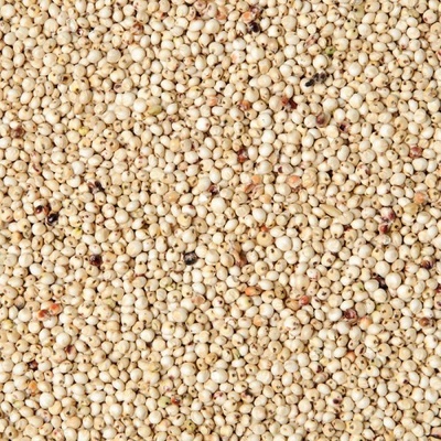 Fauna Hradil Čirok bílý Dari 10 kg