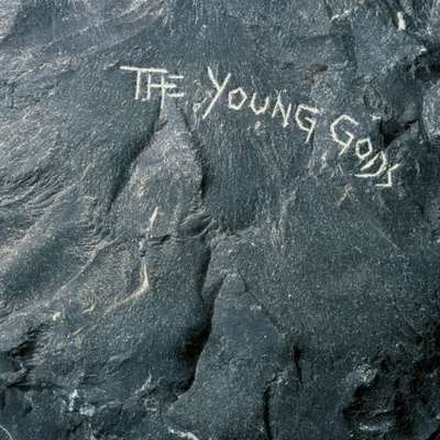 Young Gods - Young Gods - 2 LP