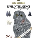 Superintelligence