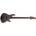 Schecter C-5
