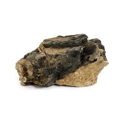 Macenauer Fossilized Wood S barvité, 0,8-1,2 kg