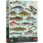Trefl Puzzle 500 Finders Keepers: Fish TREFL
