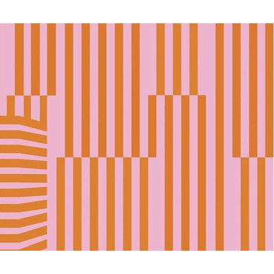 IF3-048 Fototapeta vliesová Maximal Minimalism rozměry 300x250 cm