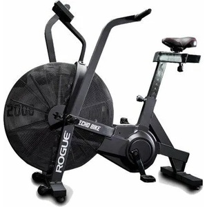 Concept2 Rogue Echo Bike