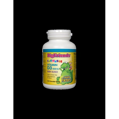 Natural Factors Vitamin D3 Big Friends® | Витамин D3 за деца 400 IU х 250 дъвчащи таблетки с вкус горски плодове (1546 NF)