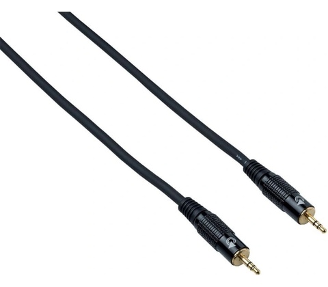 Bespeco EA2M300