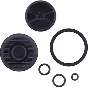 Sram CALIPER PISTON KIT 2 PISTON 21