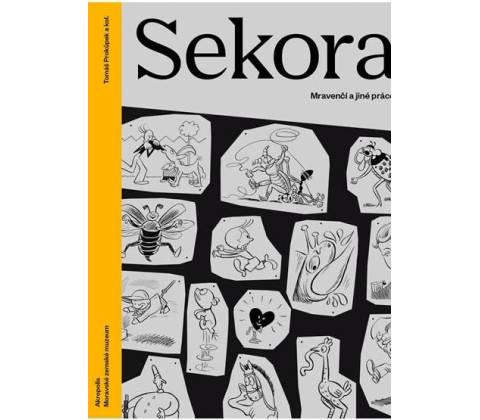 Sekora