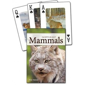Adventure pubn Mammals of the Northeast Playing Cards | Stan Tekiela
