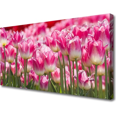 Obraz Canvas Tulipány kvety príroda 100x50 cm