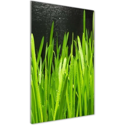 Vertikálny foto obraz fotografie na skle Steblo trávy 50x100 cm