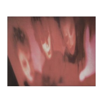 CURE: PORNOGRAPHY LP