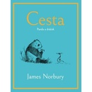 Cesta