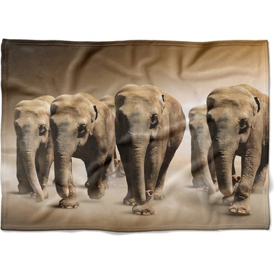 Impar fleece deka Sloni v poušti Podšití beránkem NE 200x140