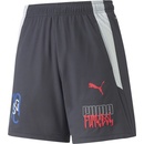 Puma NEYMAR JR Futebol short Jr