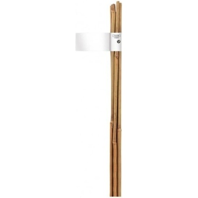 Strend Pro Bambusová tyč prírodná pr. 8-10mm 0,9m