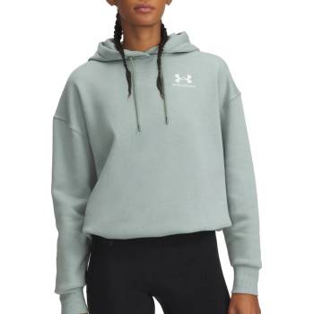 Under Armour UA Icon Fleece OS Hoodie 1379495-349