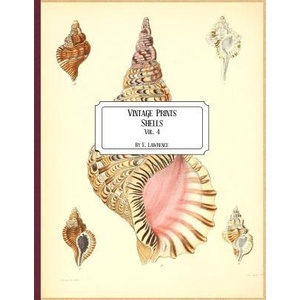 Vintage Prints: Shells: Vol. 4 | E. Lawrence (ISBN: 9781727185119)