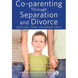 Co-parenting Through Separation and Divorce | David Hill (ISBN: 9781610023801)