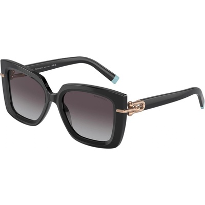 Tiffany & Co Tiffany & Co. TF4199 80013C (TF4199 80013C)