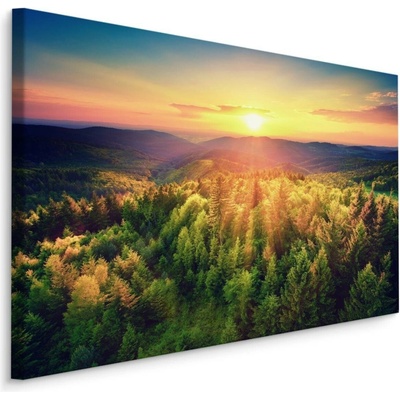 Plátno Západ Slunce Nad Forest Hills Varianta: 70x50