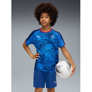 PUMA Тениска Neymar JR Playmaker Jersey Jr (66031510)