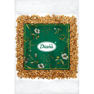 Diana Company Ľan hnedý 300 g