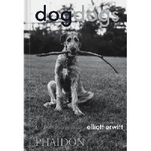 DOGDOGS (ISBN: 9781838669256)