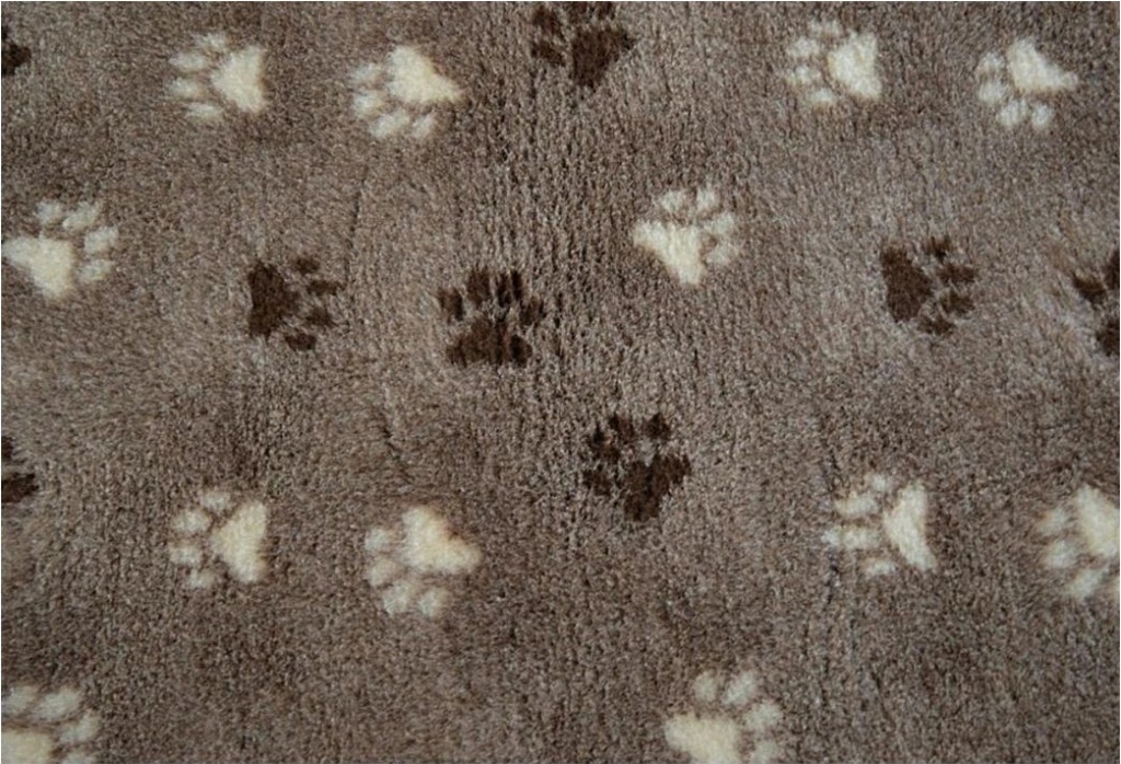 Paws Drybed Deka
