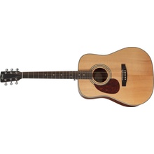 Cort Earth 70LH