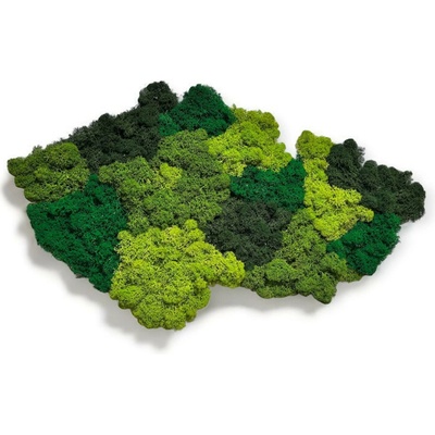 Mechová mapa