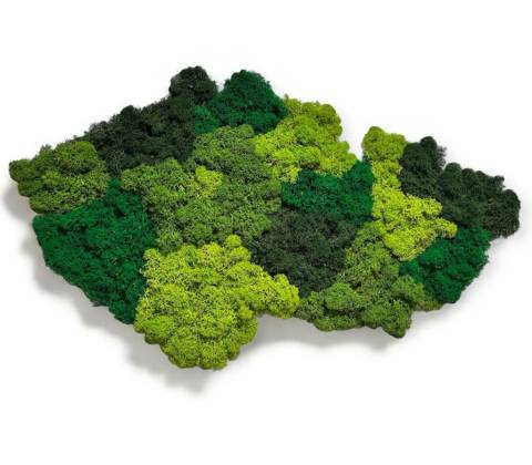 Mechová mapa