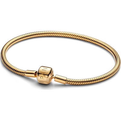 Pandora Elegantný pozlátený náramok na prívesky Shine 563390C00 19 cm
